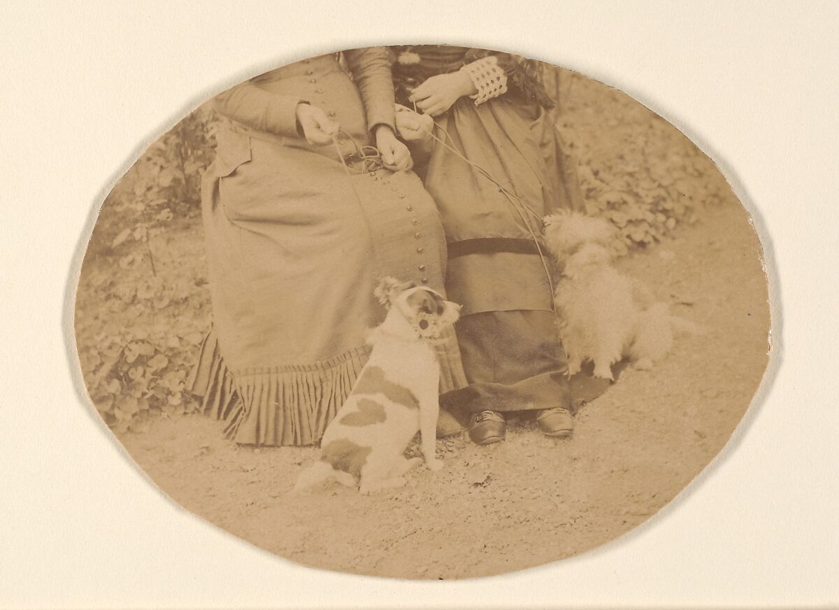 Les Chiens, Pierre-Louis Pierson (French, 1822–1913), Albumen silver print from glass negative 