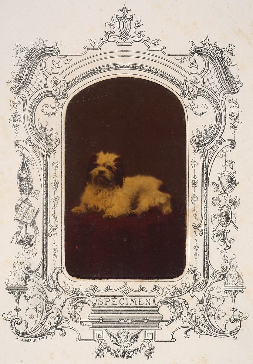 Les Chiens, Pierre-Louis Pierson (French, 1822–1913), Waxed albumen silver print from glass negative with applied color 