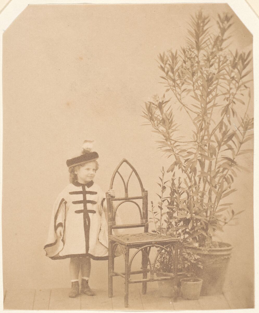 La ?aurier rose, Pierre-Louis Pierson (French, 1822–1913), Albumen silver print from glass negative 
