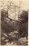 [Trees, a Country Road, a Stream, and a Church from the Side], Unknown, Albumen silver print