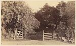 [A Wooden Gateway, a White House, a Country Road, and a Forest Glen], Unknown, Albumen silver print