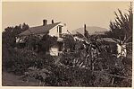 [A Wooden Gateway, a White House, a Country Road, and a Forest Glen], Unknown, Albumen silver print