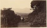 [A Wooden Gateway, a White House, a Country Road, and a Forest Glen], Unknown, Albumen silver print