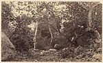 [A Wooden Gateway, a White House, a Country Road, and a Forest Glen], Unknown, Albumen silver print