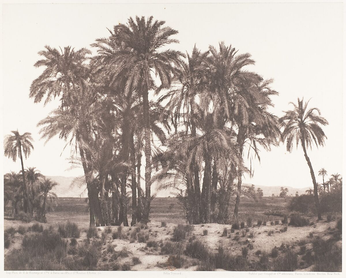 Karnak, Groupe de Dattiers Vu du Point A, Félix Teynard (French, 1817–1892), Salted paper print from paper negative 