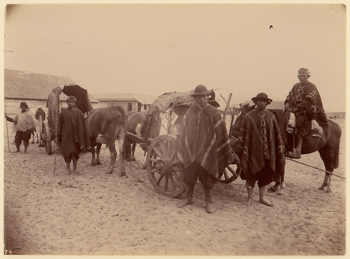 [Group of Indians with Cart and Oxen], Unknown, Albumen silver print 