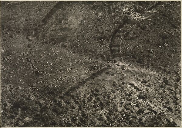 [Battlefield at Vaux, France], Edward J. Steichen (American (born Luxembourg), Bivange 1879–1973 West Redding, Connecticut), Gelatin silver print 