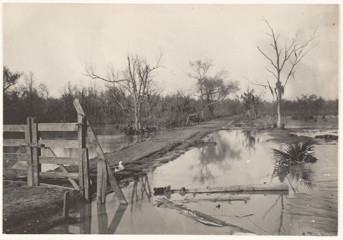 [Road Through Flooded Land], Morgan Whitney (American, 1869–1913), Platinum print 