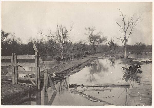 [Road Through Flooded Land]