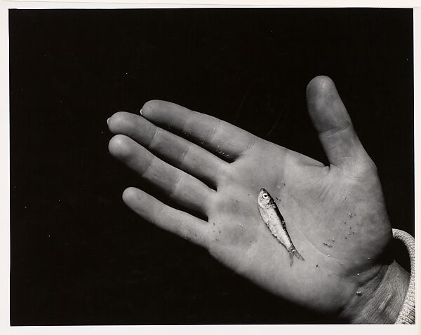 Hand B, Aaron Siskind (American, 1903–1991), Gelatin silver print 