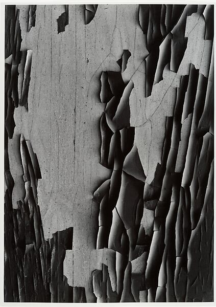 Jerome, Arizona 20, Aaron Siskind (American, 1903–1991), Gelatin silver print 