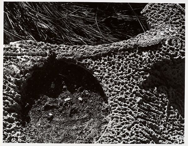 Terracotta 17, Aaron Siskind (American, 1903–1991), Gelatin silver print 