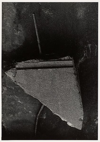 New York Aquarium 49 (?), Aaron Siskind (American, 1903–1991), Gelatin silver print 