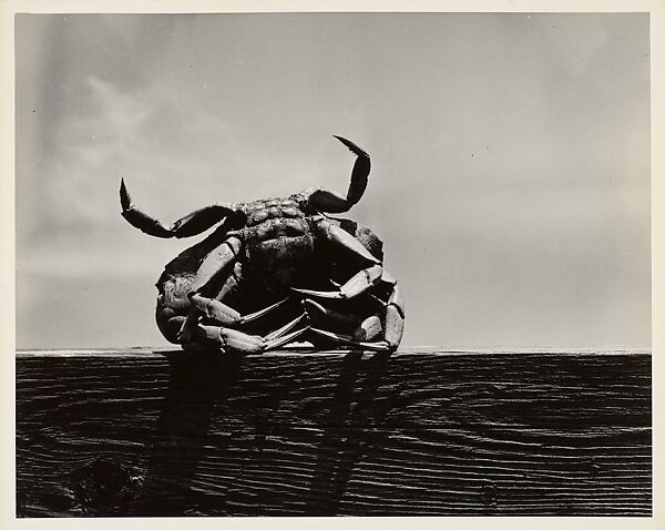 Gloucester, Aaron Siskind (American, 1903–1991), Gelatin silver print 