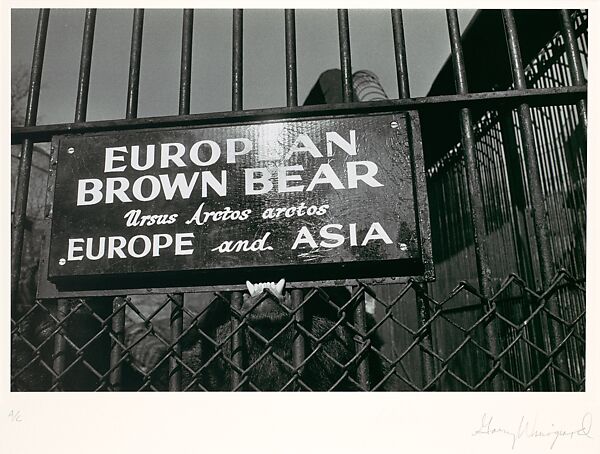 Garry Winogrand | Untitled | The Metropolitan Museum of Art