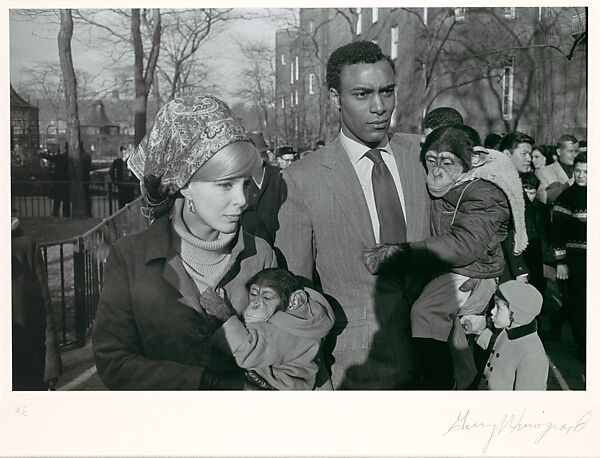 Central Park Zoo, New York City, New York, Garry Winogrand (American, New York 1928–1984 Tijuana, Mexico), Gelatin silver print 