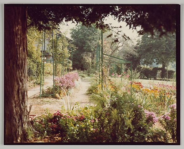 Giverny, Stephen Shore (American, born 1947), Chromogenic print 