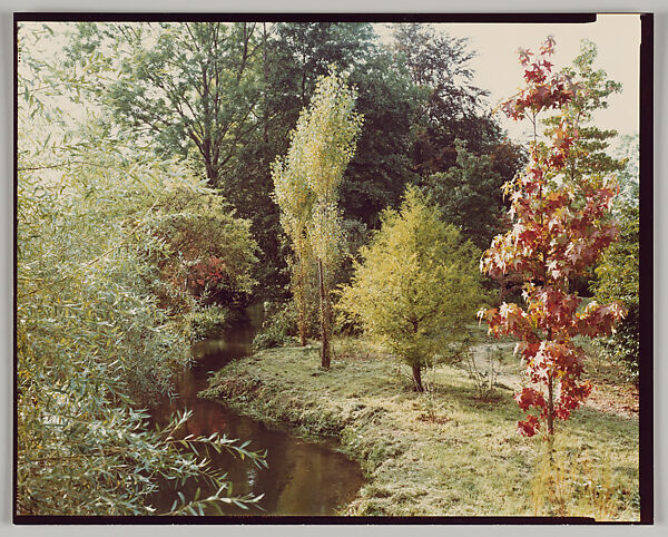 Giverny, Stephen Shore (American, born 1947), Chromogenic print 