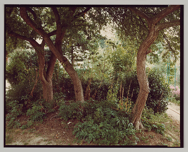 Giverny, Stephen Shore (American, born 1947), Chromogenic print 