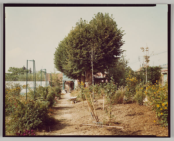 Giverny, Stephen Shore (American, born 1947), Chromogenic print 