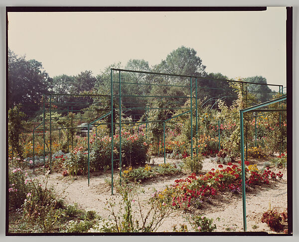 Giverny, Stephen Shore (American, born 1947), Chromogenic print 