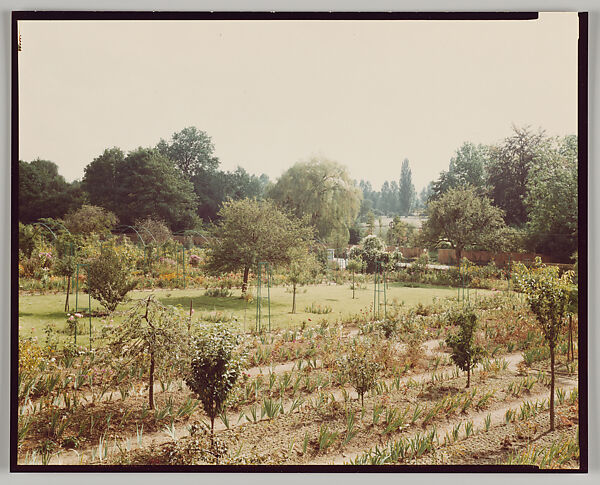 Giverny, Stephen Shore (American, born 1947), Chromogenic print 