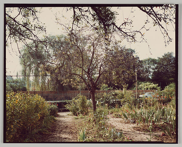 Giverny, Stephen Shore (American, born 1947), Chromogenic print 