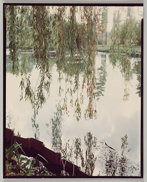 Giverny, Stephen Shore (American, born 1947), Chromogenic print 