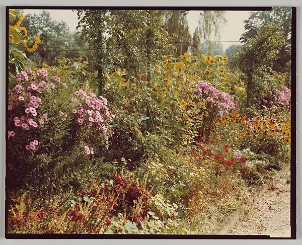 Giverny, Stephen Shore (American, born 1947), Chromogenic print 