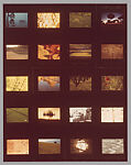 [Contact Sheet of Plant Studies], Dennis Stock  American, Chromogenic print