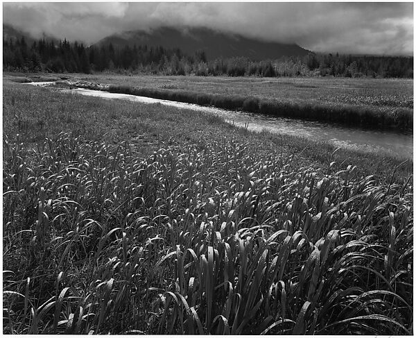 Rain, Beartrack Cove, Alaska, Ansel Easton Adams (American, San Francisco, California 1902–1984 Carmel, California), Gelatin silver print 