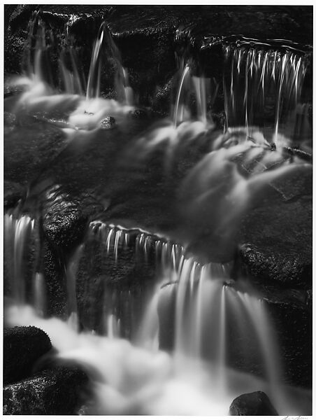 Fern Spring, Yosemite National Park, California, Ansel Easton Adams (American, San Francisco, California 1902–1984 Carmel, California), Gelatin silver print 