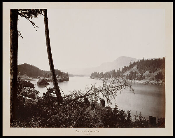 View on the Columbia, Cascades