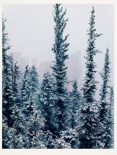 Spires and Spruce Trees, Bryce Canyon, Utah, Eliot Porter (American, 1901–1990), Dye transfer print 