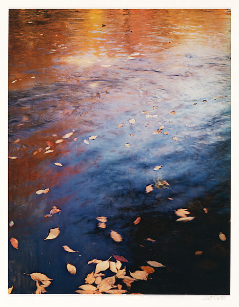 Pool in a Brook, Pond Brook, Near Whiteface, New Hampshire, Eliot Porter (American, 1901–1990), Dye transfer print 