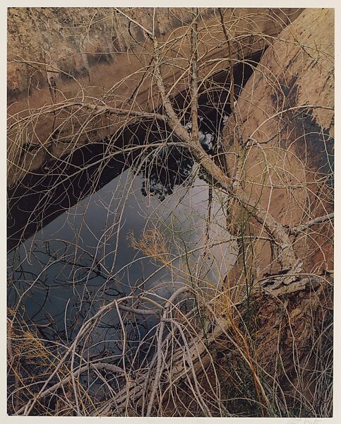 Dead Tree and Pool, Waterpocket Fold, Glen Canyon, Utah, Eliot Porter (American, 1901–1990), Dye transfer print 