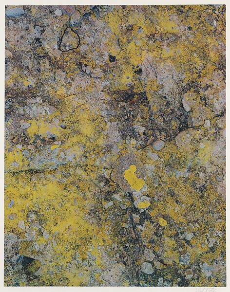 Lichen on Boulder, Between San Javier and Comondu, Baja California, Eliot Porter (American, 1901–1990), Dye transfer print 