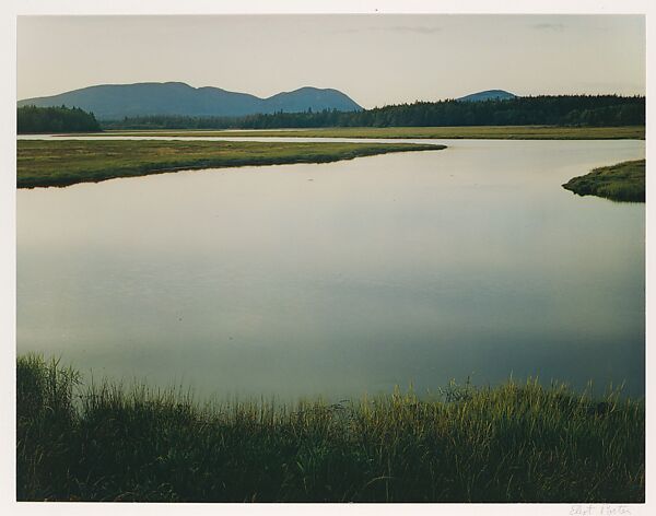 Tidal Marsh, McKinley, Mount Desert Island, Maine, Eliot Porter (American, 1901–1990), Dye transfer print 