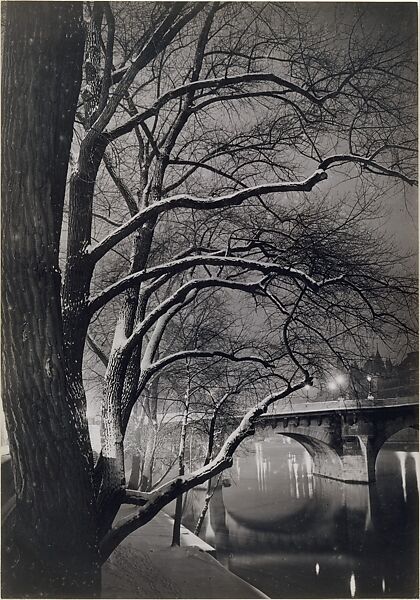Les arbres des quais avec le Pont-Neuf, Brassaï (French (born Romania), Brașov 1899–1984 Côte d&#39;Azur), Gelatin silver print 
