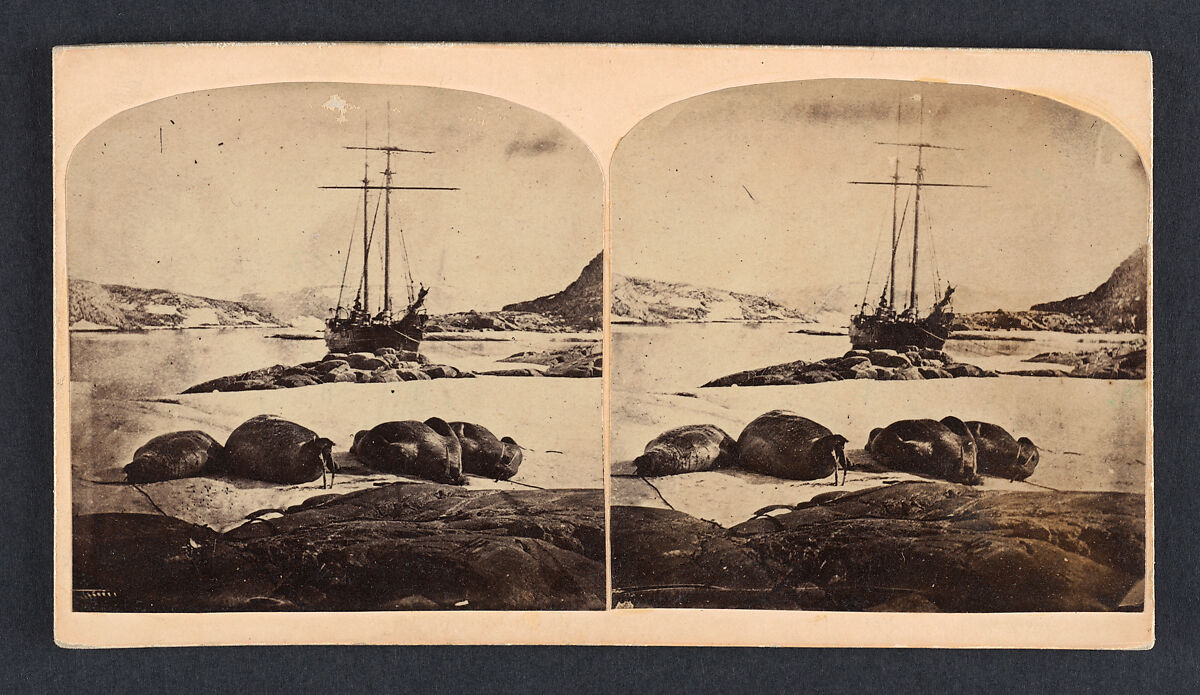 Scène de la mer glacial, Isaac Israel Hayes (American, 1832–1881), Albumen silver print from glass negative 