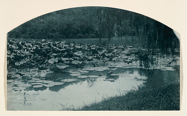 [Garden Pool with Waterlilies], Adolf de Meyer (American (born France), Paris 1868–1946 Los Angeles, California), Carbon print 