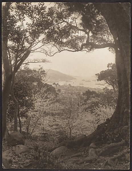 [View from Hillside Toward City and Harbor, possibly Hong Kong], Adolf de Meyer (American (born France), Paris 1868–1946 Los Angeles, California), Gelatin silver print 