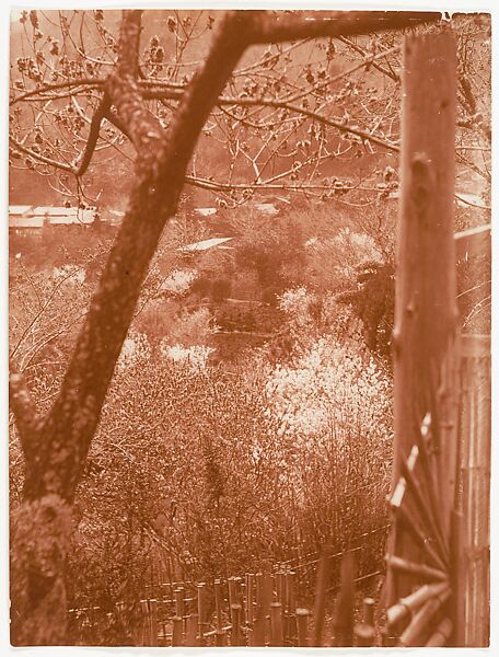 [View from Hillside Through Trees Towards a Valley], Adolf de Meyer (American (born France), Paris 1868–1946 Los Angeles, California), Carbon print 