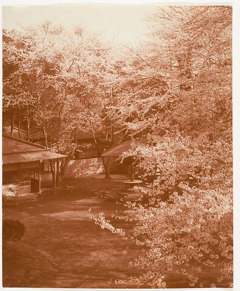 [View of Blossoming Cherry Trees and a Cluster of Buildings], Adolf de Meyer (American (born France), Paris 1868–1946 Los Angeles, California), Carbon print 