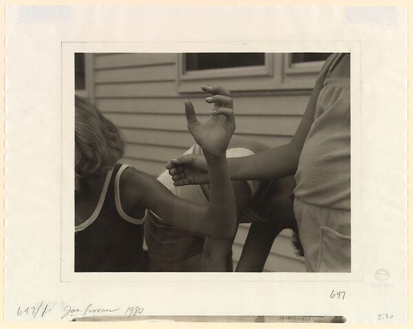 Untitled, Jan Groover (American, Plainfield, New Jersey 1943–2012 Montpon-Ménestérol, France), Platinum print 