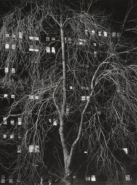 Washington Square, New York, André Kertész (American (born Hungary), Budapest 1894–1985 New York), Gelatin silver print 