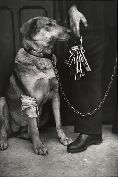Mr. Caillot's Dog and the Keys of Notre Dame, Paris, André Kertész (American (born Hungary), Budapest 1894–1985 New York), Gelatin silver print 