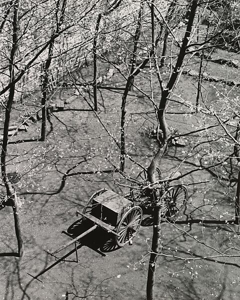 Beekman Terrace, New York, André Kertész (American (born Hungary), Budapest 1894–1985 New York), Gelatin silver print 