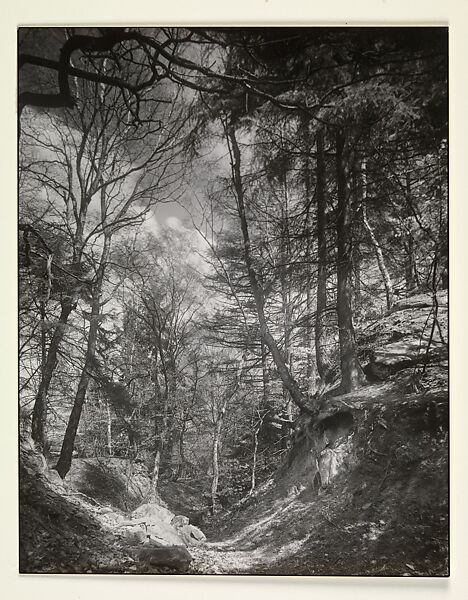 Footpath in the Siebengebirge, August Sander (German, 1876–1964), Gelatin silver print 
