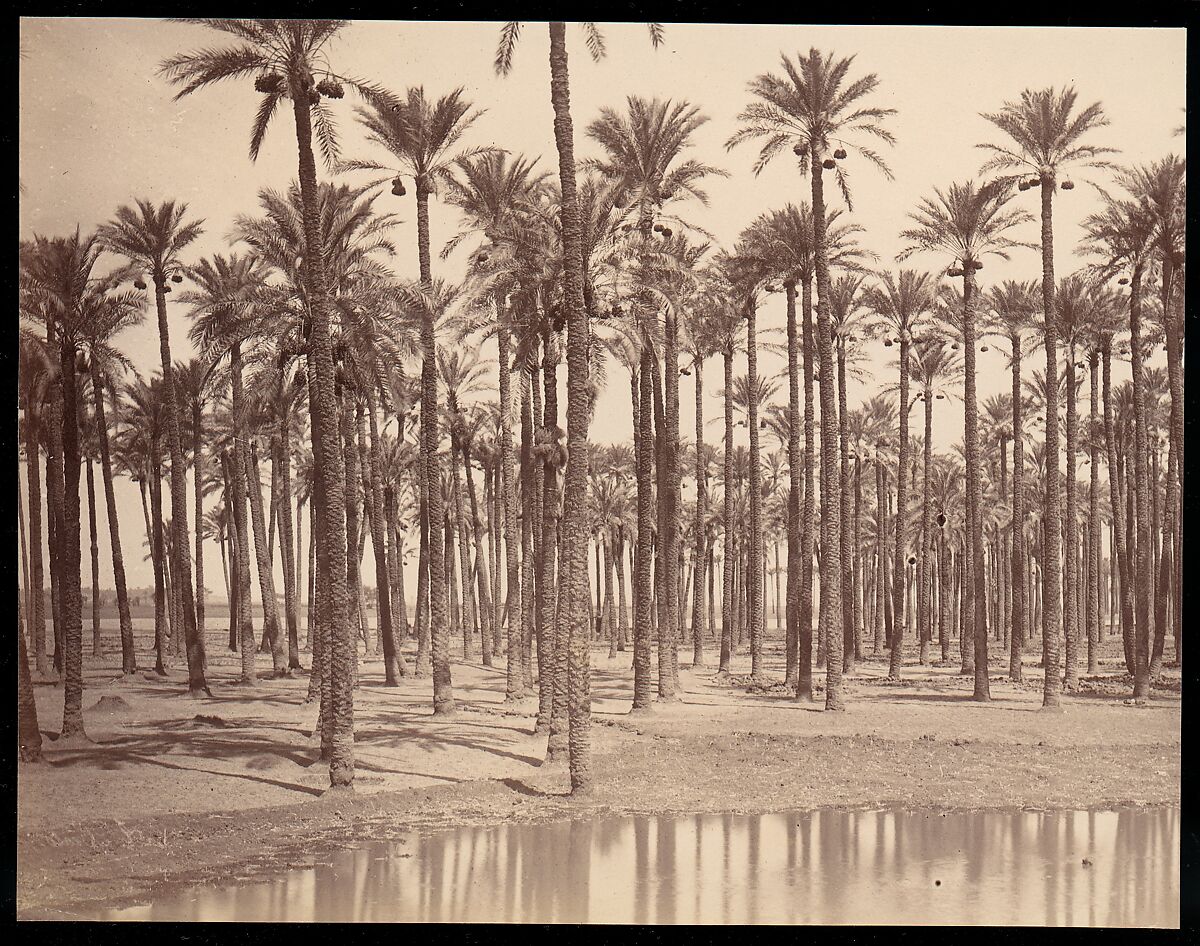 Temple de Cathers a Saqqarah, Unknown, Albumen silver print from glass negative 